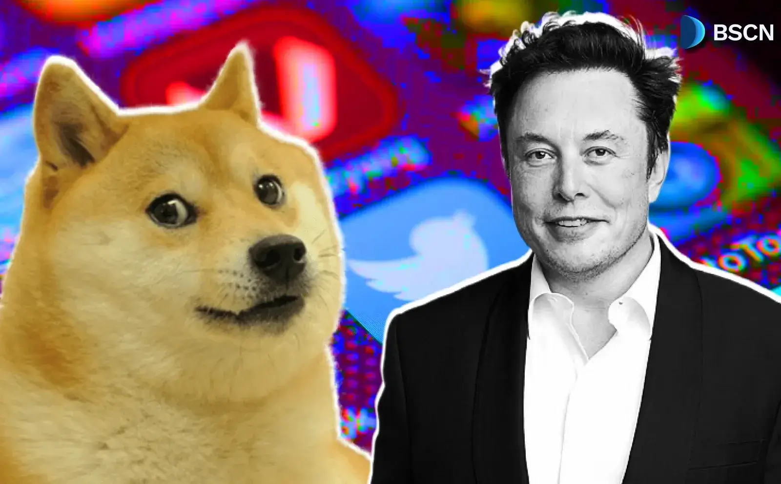 Elon Musk is Tweeting About DOGE Again: What's Next?