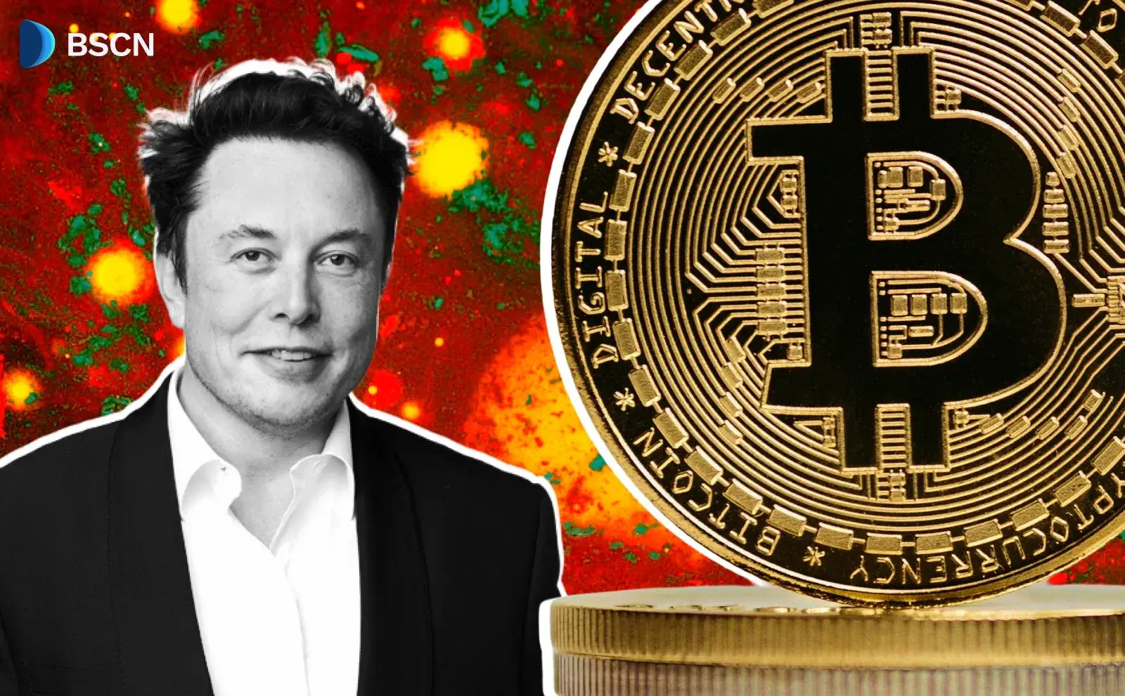 Is Elon Musk Bull-Posting About Bitcoin?