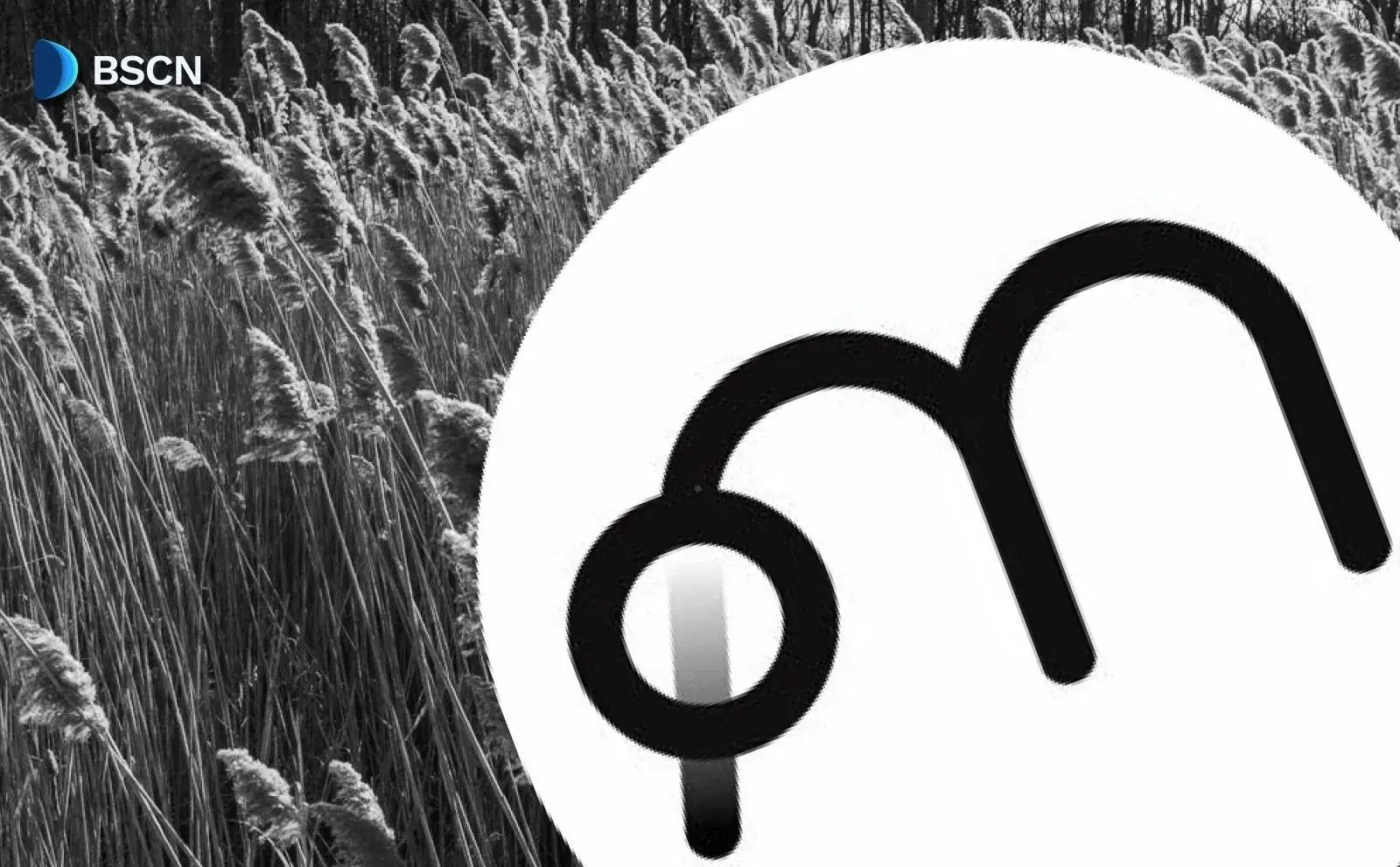 Multipli.fi: Yield for Tokenized Assets