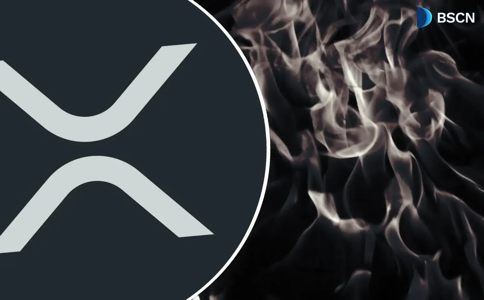 XRP ETFs See Longest Outflow Streak Since Launch