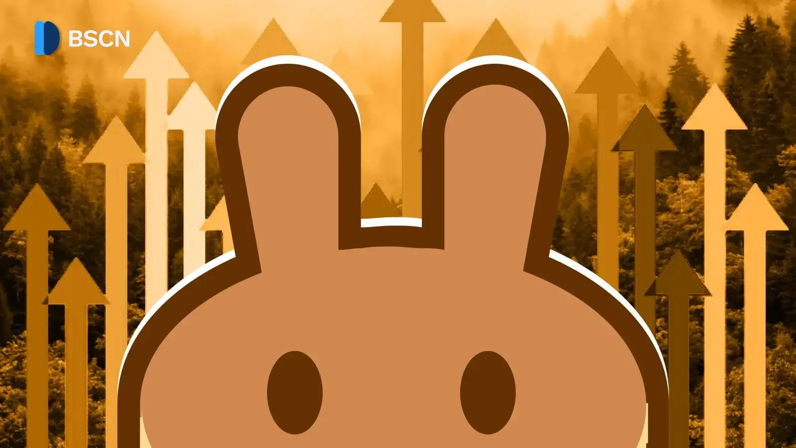 PancakeSwap in 2025: Memecoins, Stablecoins, Stock Perps, & More