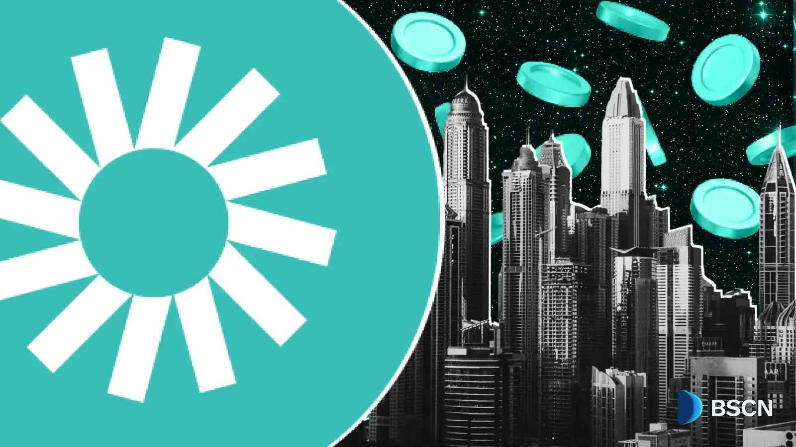 What Is Plume’s Nest Product? A Full Guide to How It Works