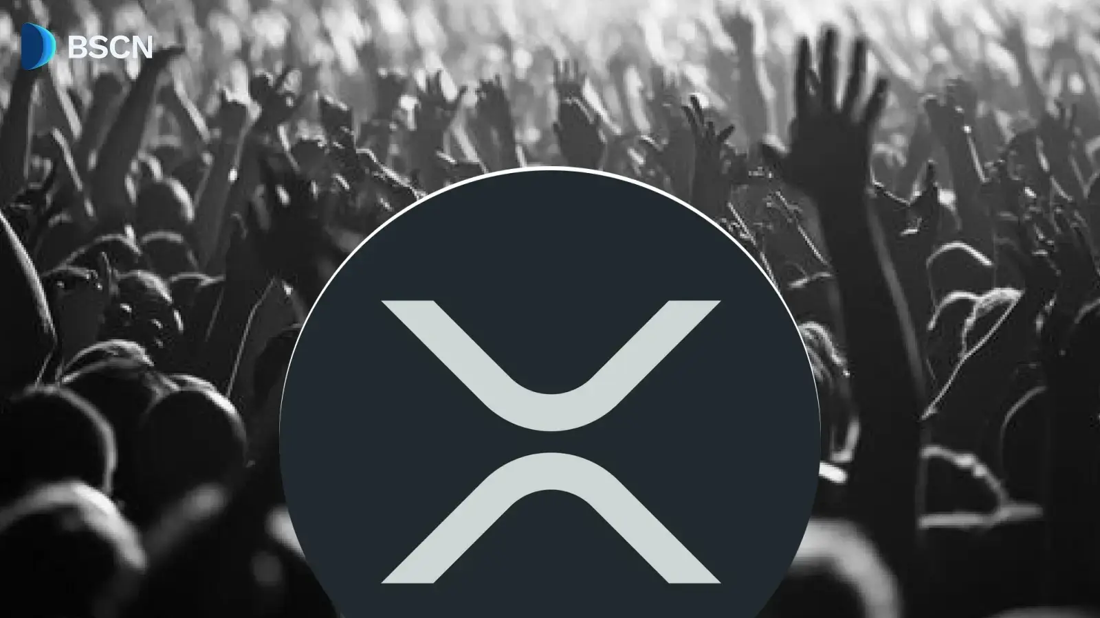 XRP Ledger Addresses Hit All-Time High in Q1 2026