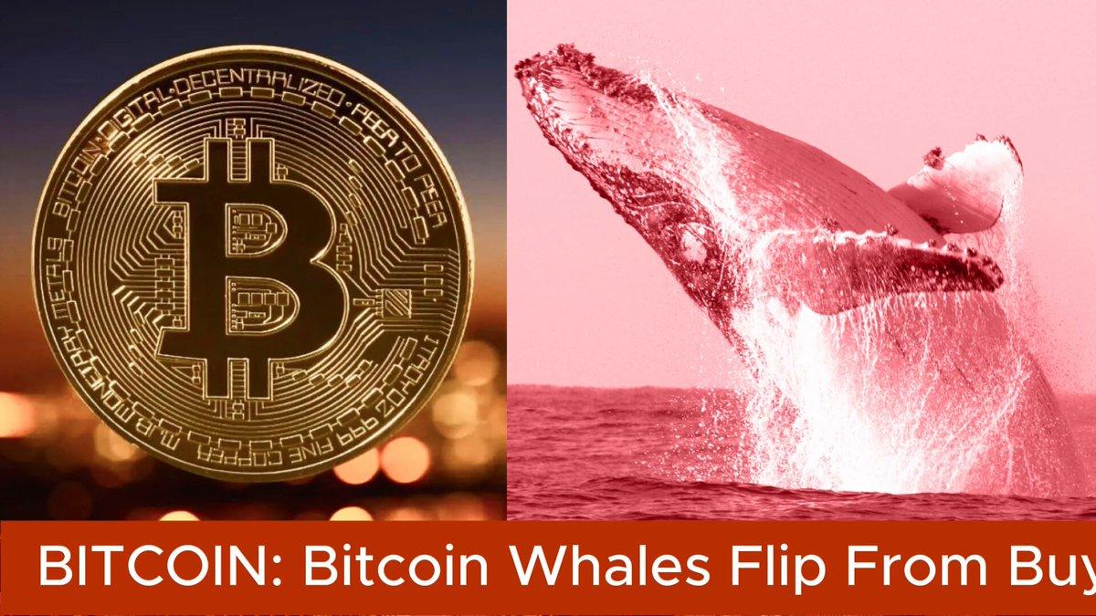Bitcoin Whales Flip From Buyers To Sellers In One Of The Most Aggressive Distribution Cycles On Record