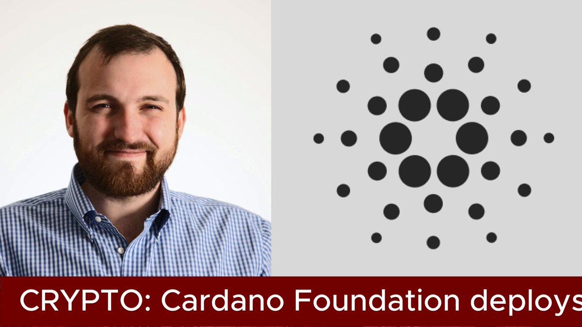 Cardano Foundation Deploys 'Eight-Figure' Ada Sum Into Defi Liquidity