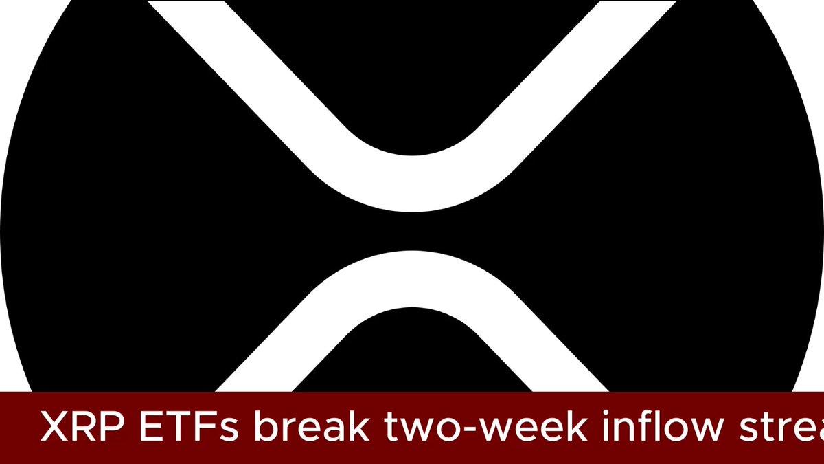 Xrp Etfs Break Two-Week Inflow Streak With $3.56 Million In Withdrawals