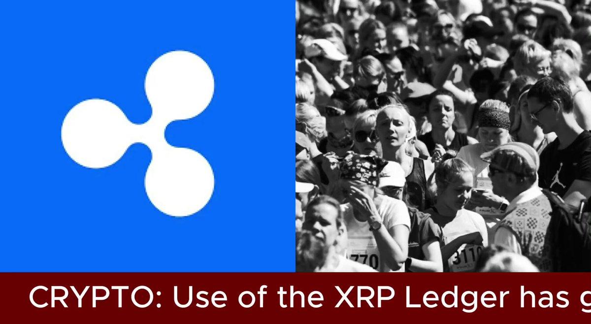 Total $Xrp Ledger Wallets Break Past 8.1 Million