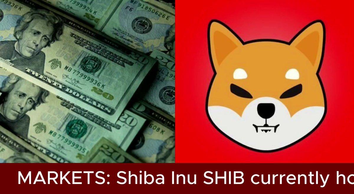Number Of $Shib Holders Keeps Growing