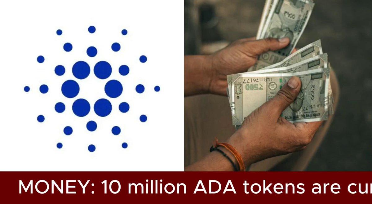 The Number Of $Ada Whales Has Exploded