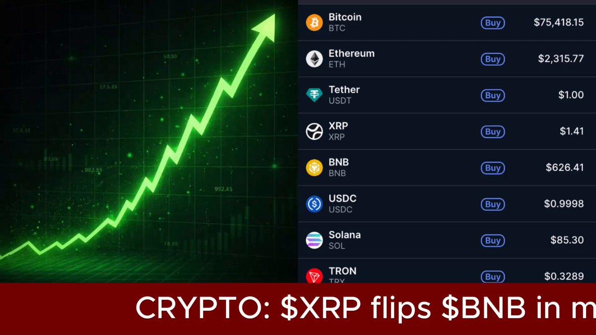XRP يقلب القيمة السوقية لشركة BNB مرة أخرى
