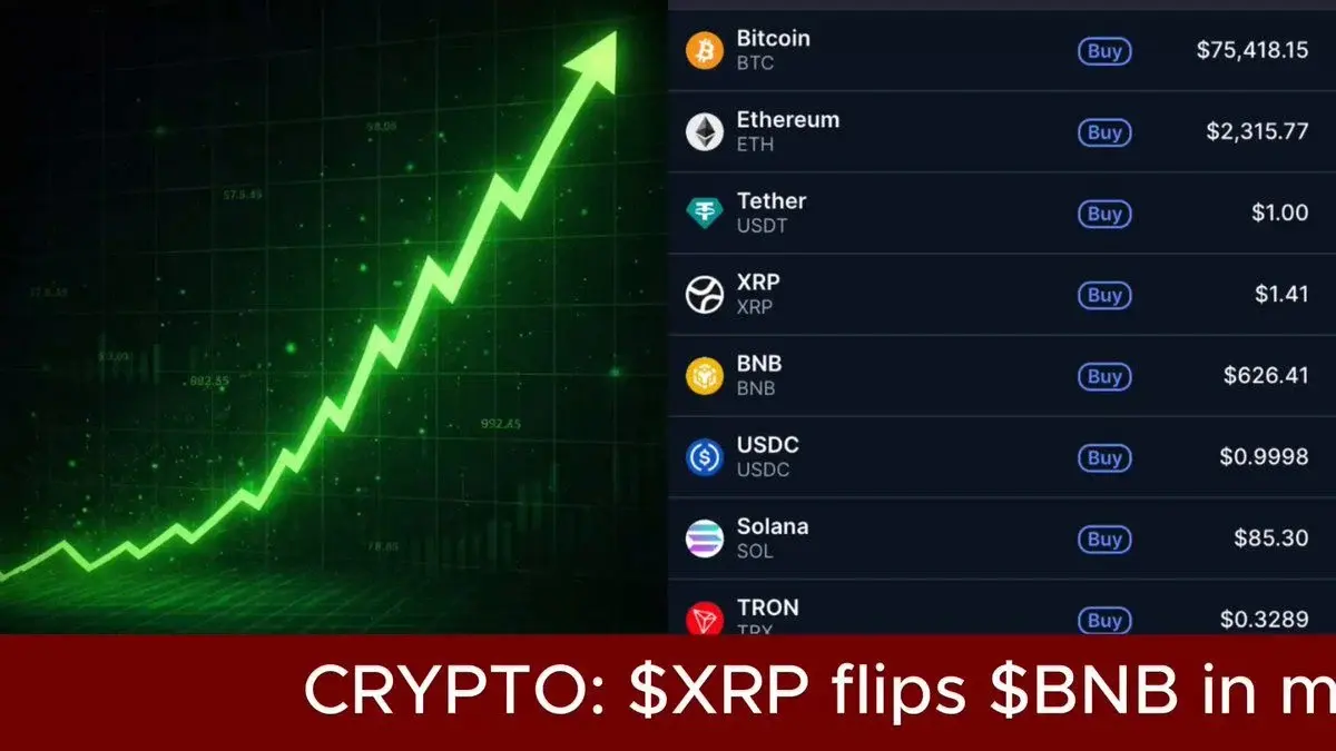 Xrp Flips $Bnb In Market Cap Again