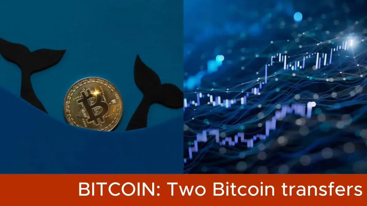 Whales Move Nearly 8,000 $Btc