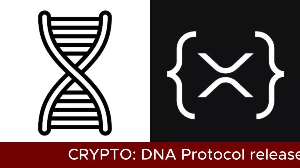 Dna Protocol (@Dnaonchain) Is Bringing Post-Quantum Identity Infrastructure To The $Xrp Ledger, Anchoring Identity Commitment Hashes On-Chain Using Zero-Knowledge Proofs And Post-Quantum Cryptography.