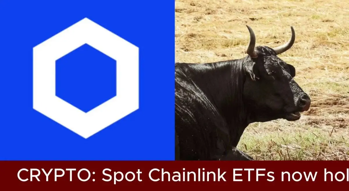 CHAINLINK ETFS SEE BIGGEST INFLOWS SINCE JANUARY