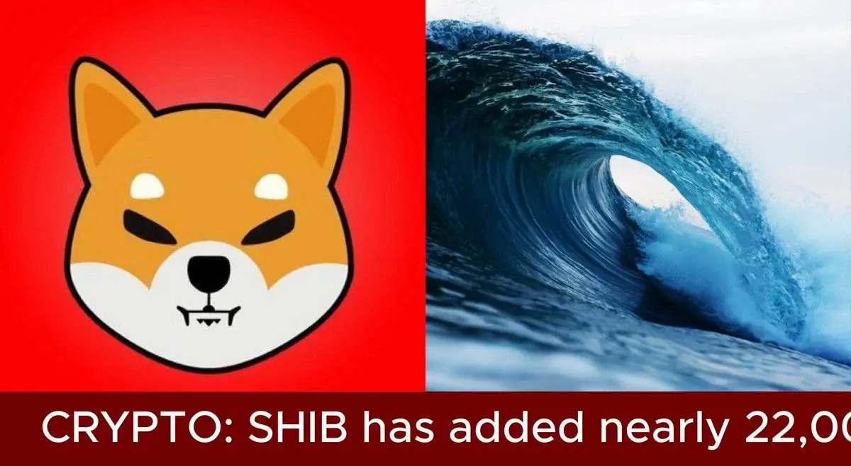 SHIBA INU HOLDER COUNT CONTINUES TO SURGE