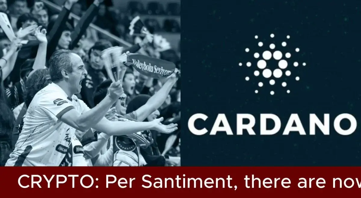 Cardano Network Hits 4.6 Million Holders