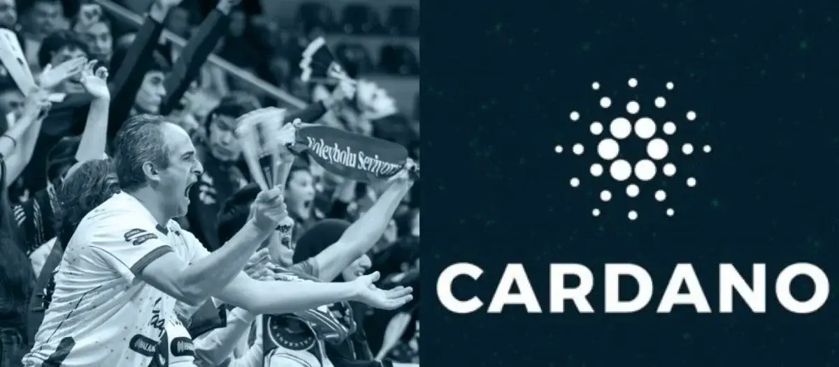 Cardano Network Hits 4.6 Million Holders