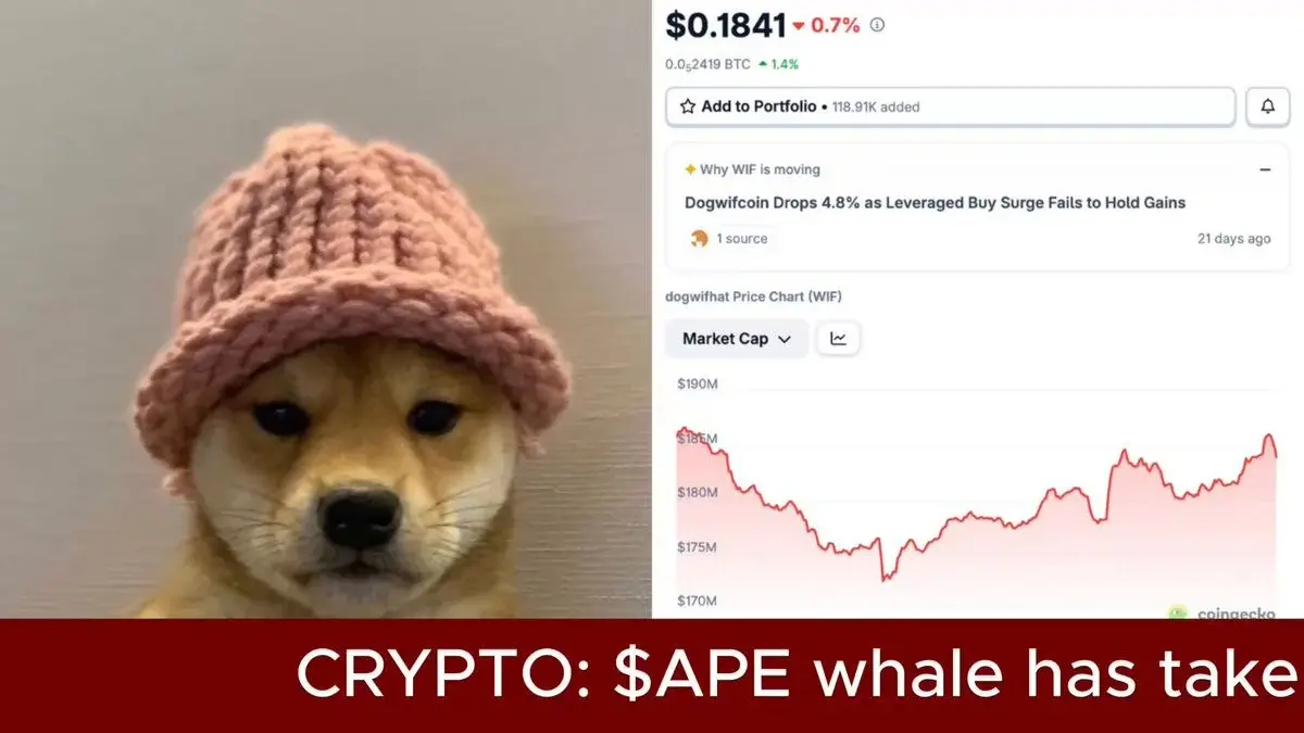 $Ape Whale Takes Huge Bet On $Wif