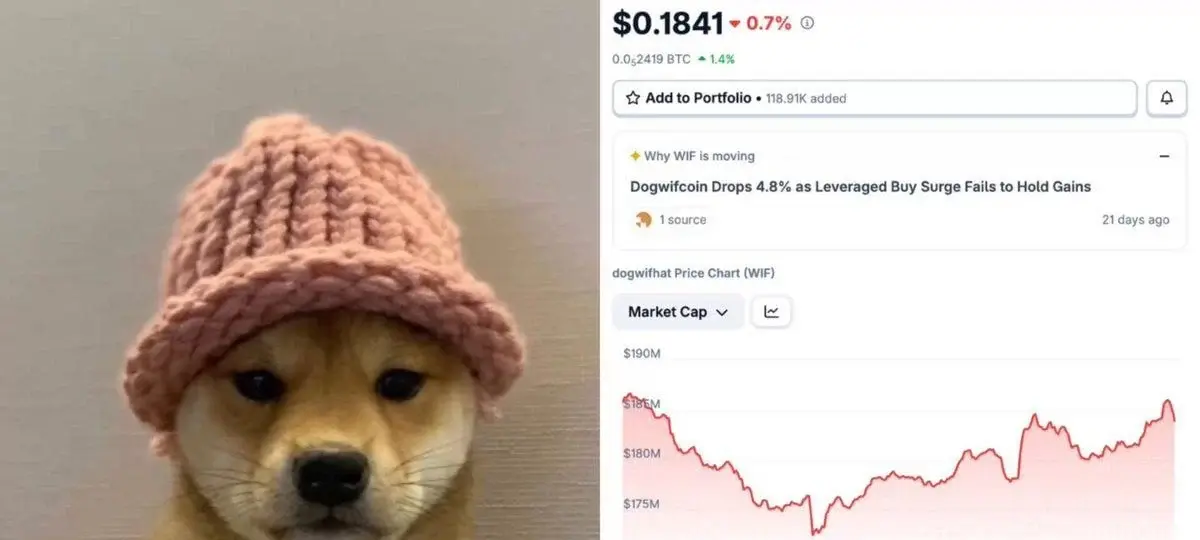 $Ape Whale Takes Huge Bet On $Wif