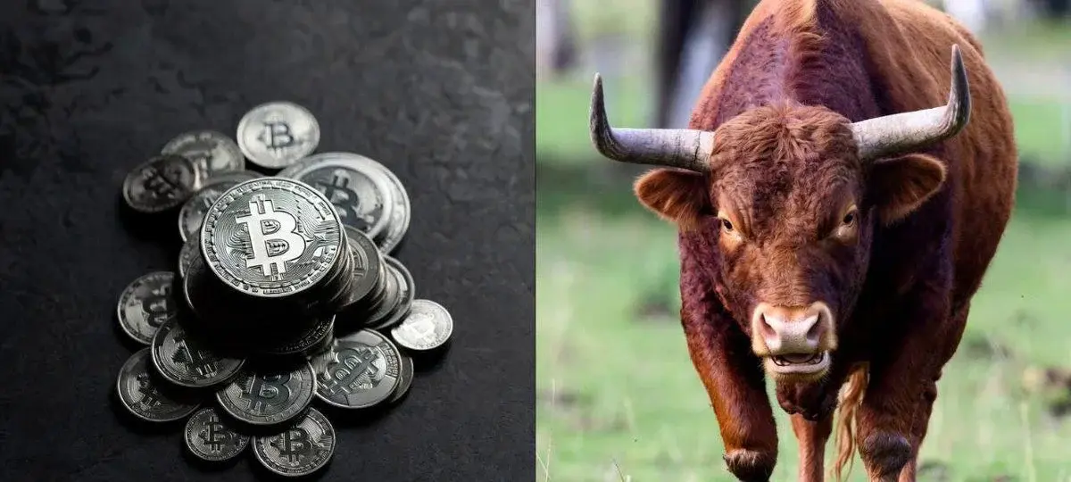 Bitcoin Rhodl Ratio Hits 4.5, Flashing 3rd-Highest Bottom Signal Ever... Is The Bottom In?