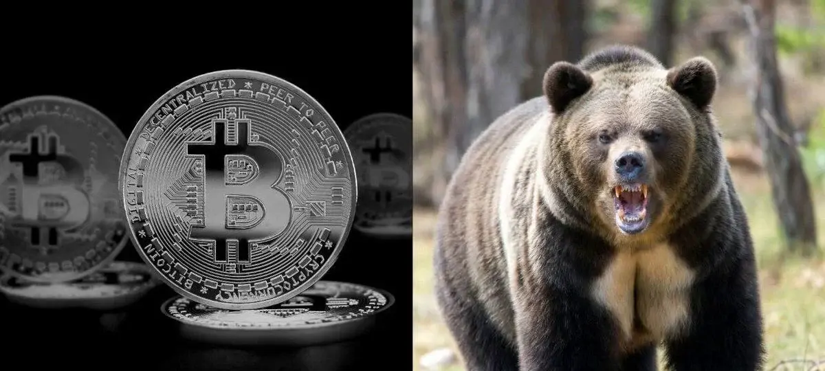 75% Of Institutions Now Call Bitcoin Undervalued
