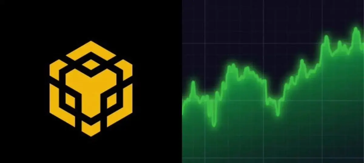 Tst Token On BNB Chain Pumps 50% Upon Whale Activity