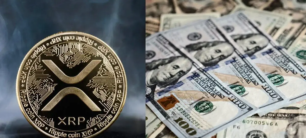 Xrp ETF Inflows Continue As Investor Demand Holds Strong