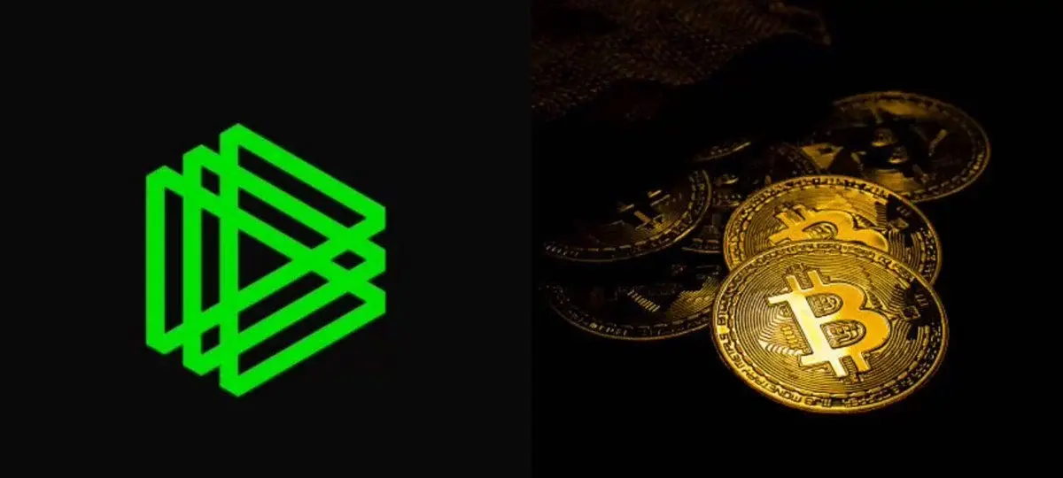 Paradigm'S Pacts Proposal Gives Bitcoin Quantum Hedge