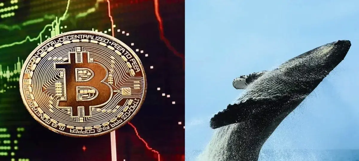 Bitcoin Whale Wakes Up After 12 Years