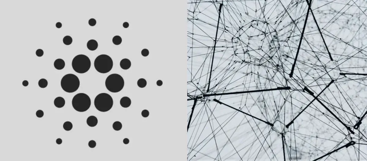 Cardano Becomes 2nd Largest Network By Validators