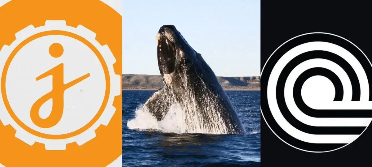 Jasmycoin And Ondo Finance See Major Whale Surge