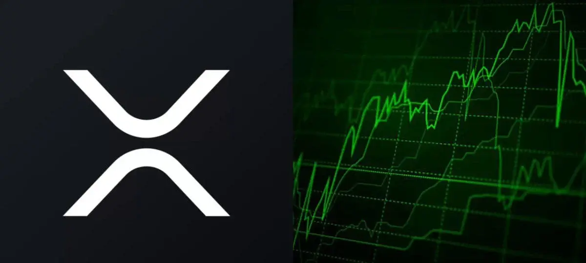 Xrp Ledger Wallets With 10,000+ Xrp Reach New Record