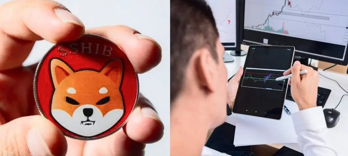 Shiba Inu Flashes Major Sell Pressure Reversal