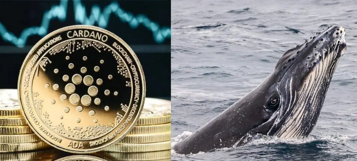 Cardano Whales Now Control 67% Of The Ada Supply