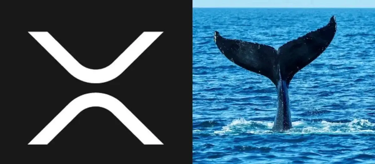 Whales Now Hold Roughly $70 Billion Worth Of $Xrp