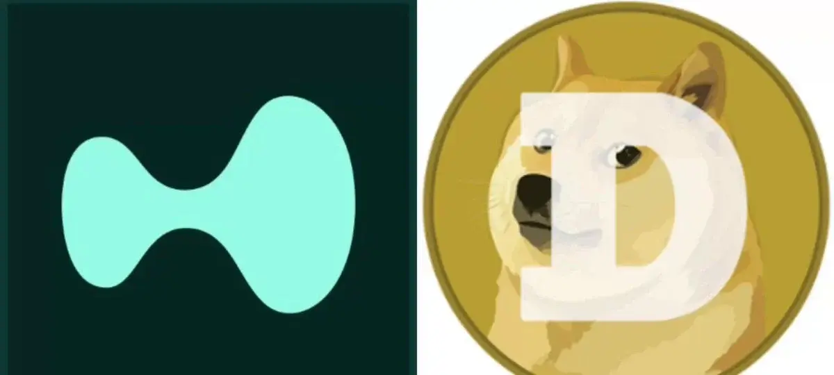 HYPE Looks Set to Surpass DOGE