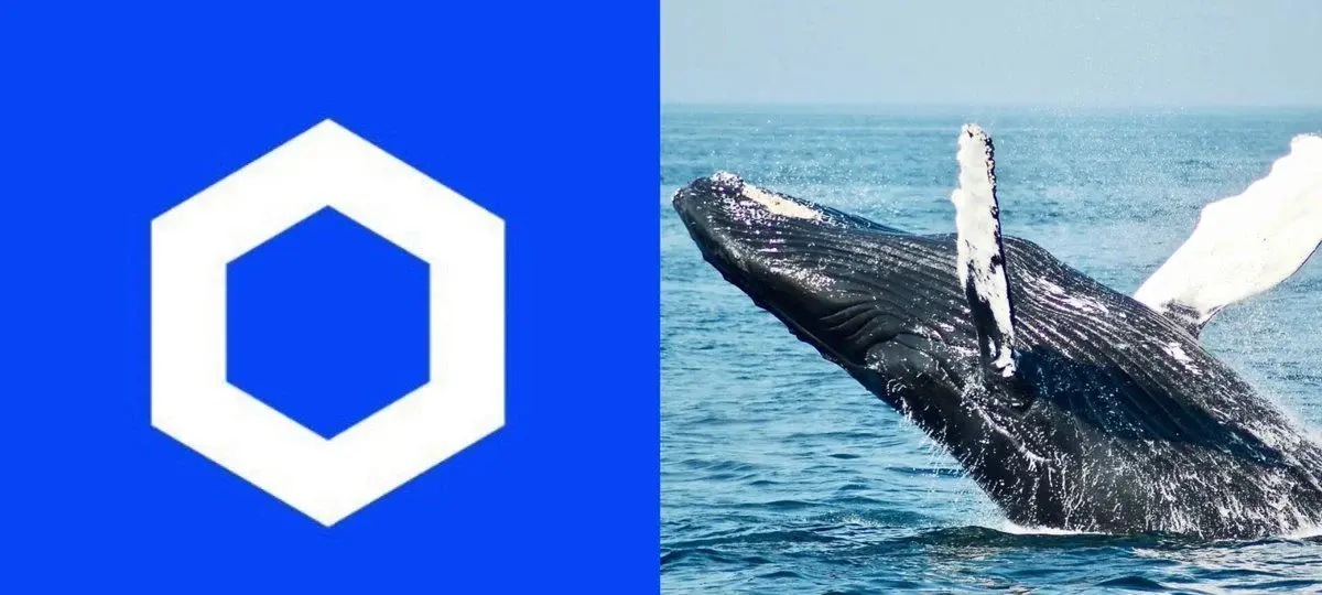 Chainlink Whales Hit Record High
