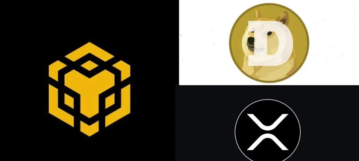 BNB Leaves XRP And DOGE Behind