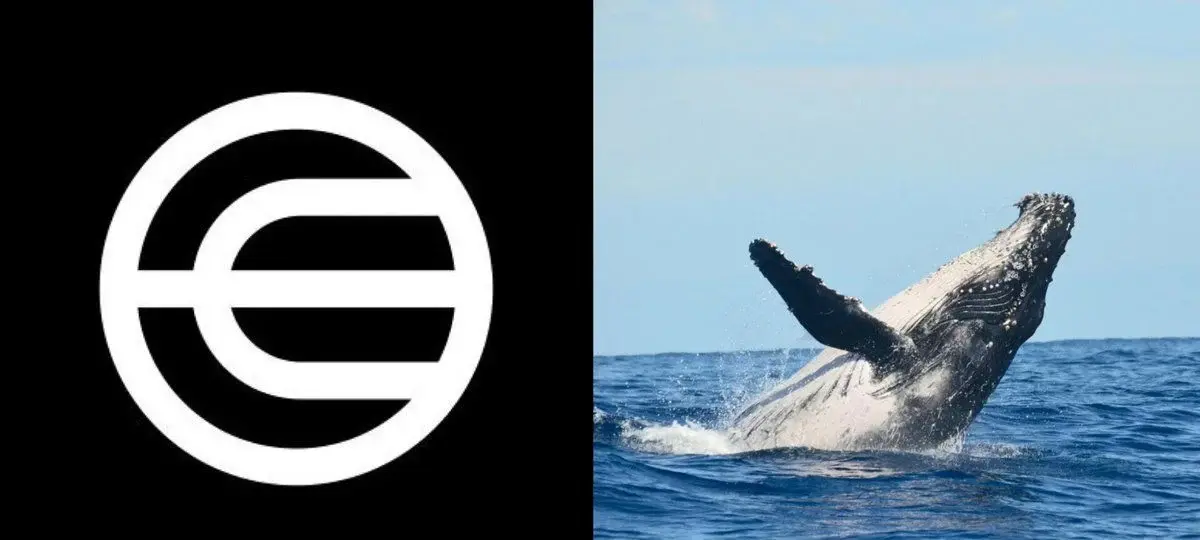 Worldcoin Surges 70% As Whale Activity Hits 2026 Highs
