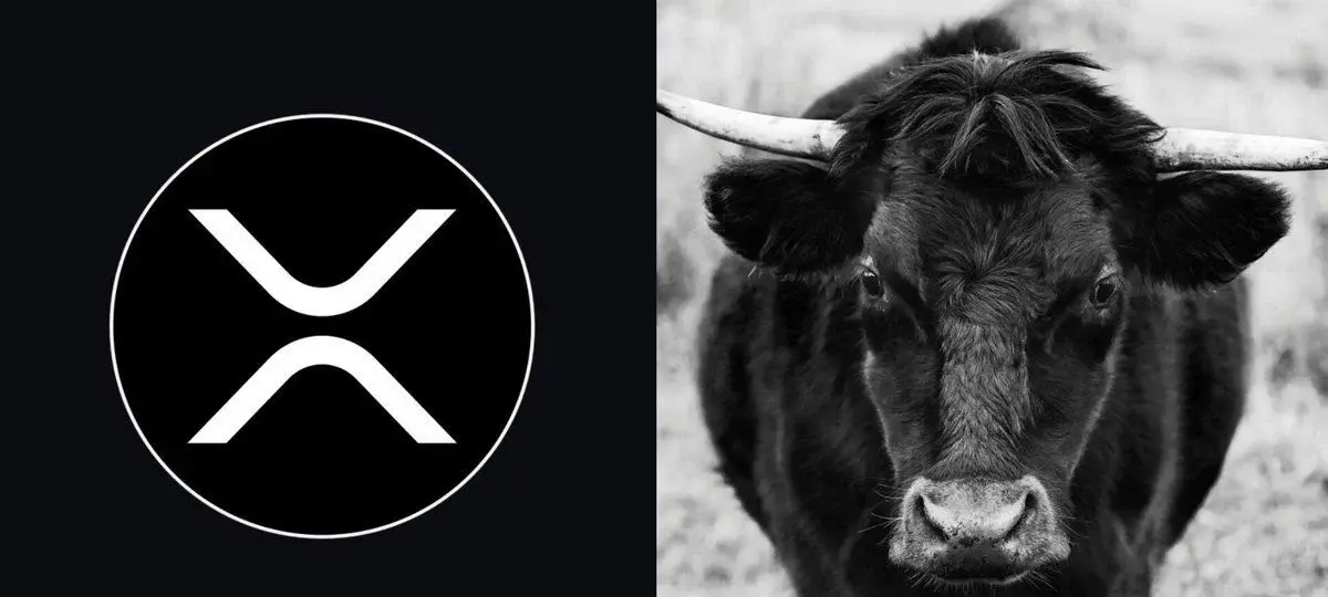 XRP Signal That Predicted Every Major Rally Returns