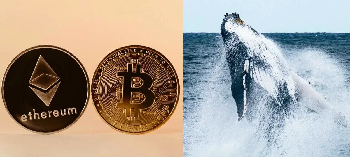 Ethereum OG Whale Nails Crash Timing With $188M Exit