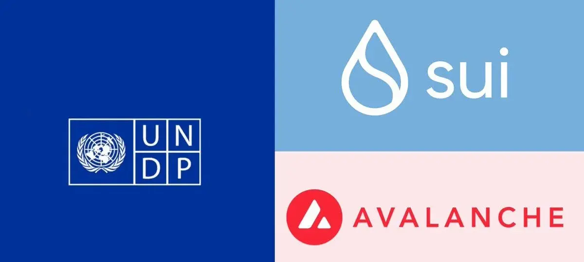 UN Launches Blockchain Advisory Group With Sui, Avalanche, Cardano