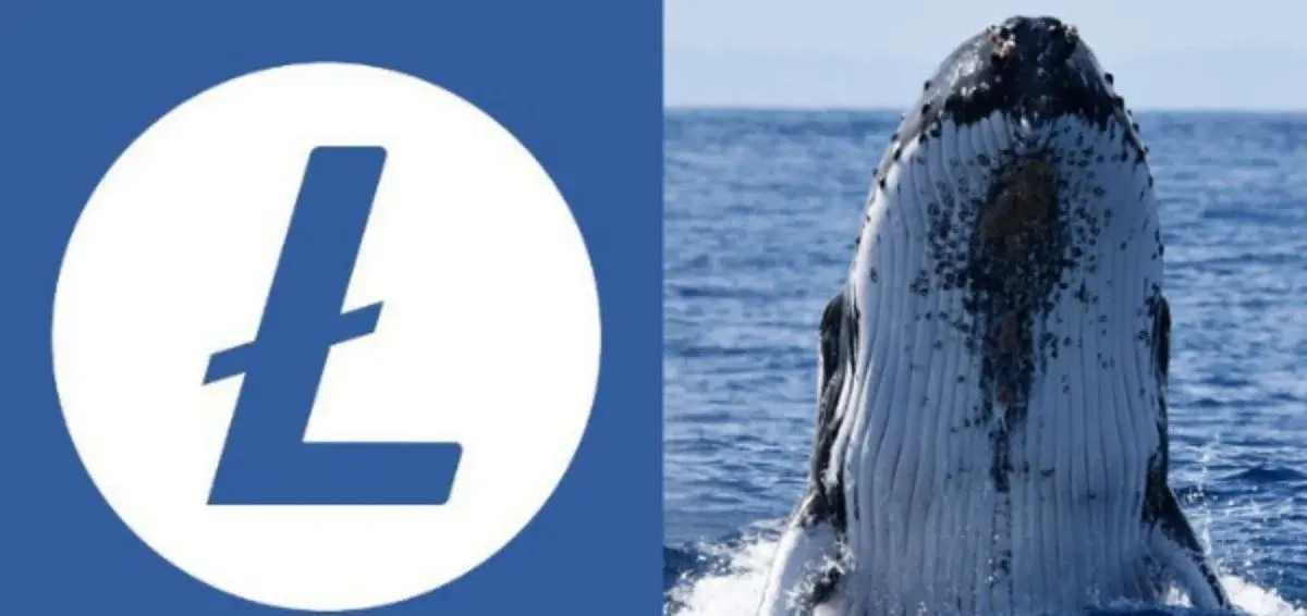 Litecoin whales are stacking while everyone argues about LitVM