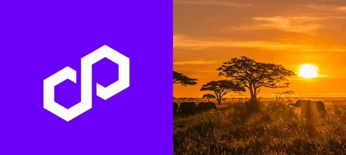 Polygon Is Scaling Stablecoin Payments In Africa