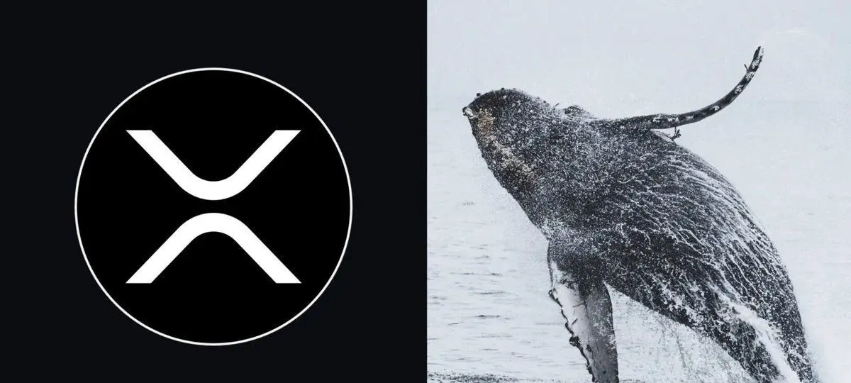 XRP Whale Accumulation Surges As Price Jumps 9%