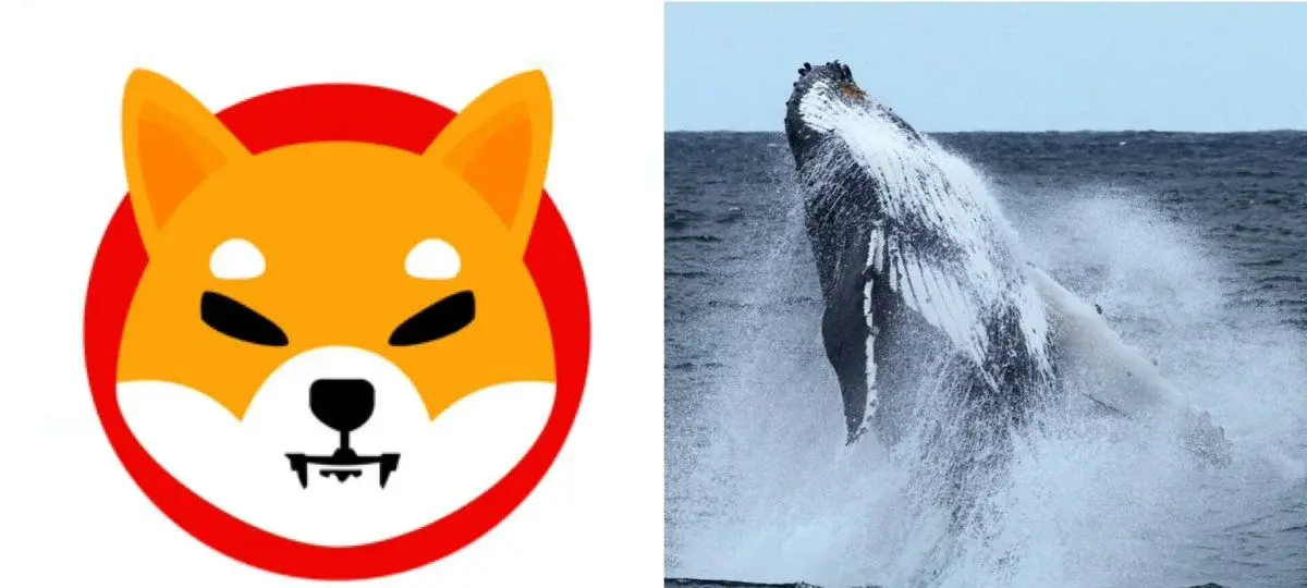 Shiba Inu Whale From 2020 Era Reactivates Billion Dollar Position