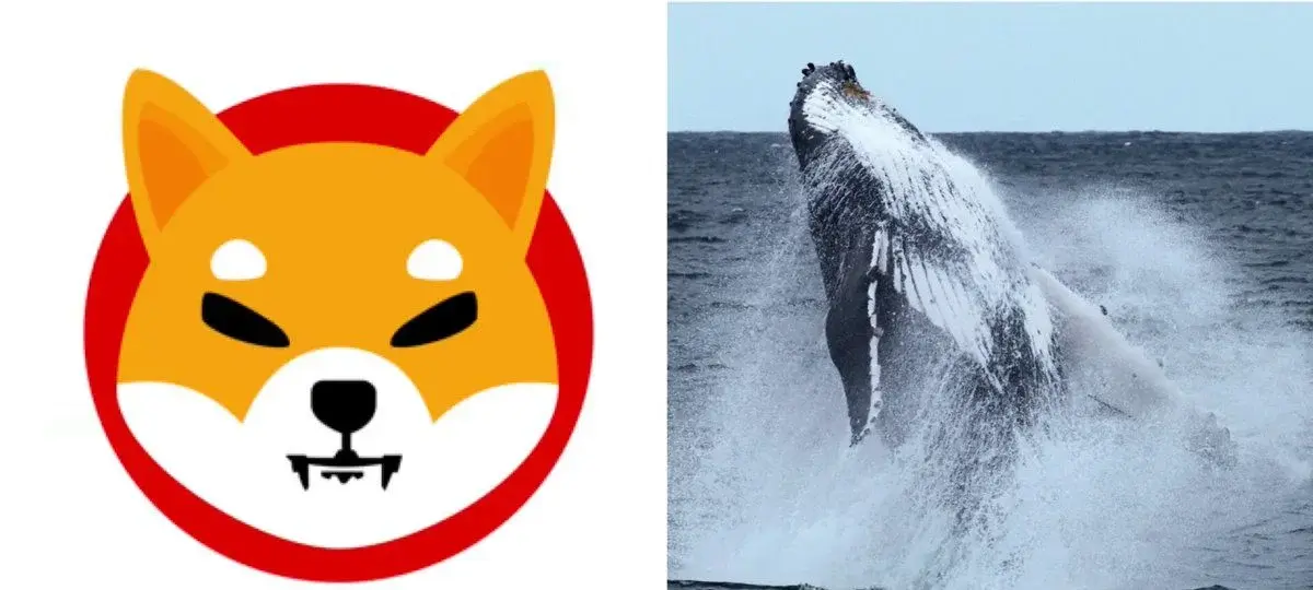 Shiba Inu Whales Flood Exchanges With 1.04T SHIB