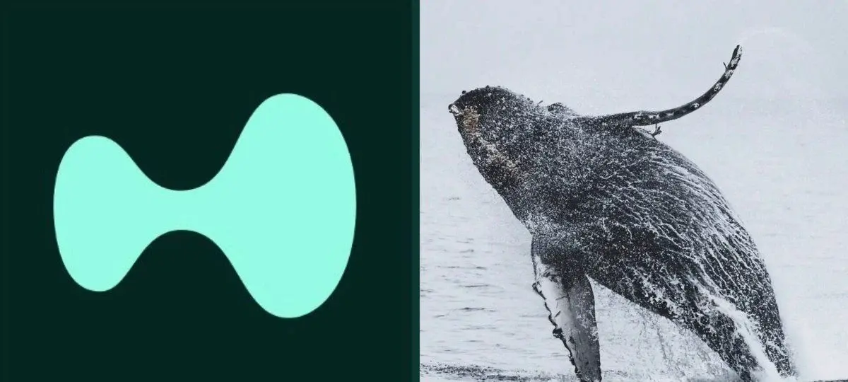 Hyperliquid Whales Keep Buying Dip