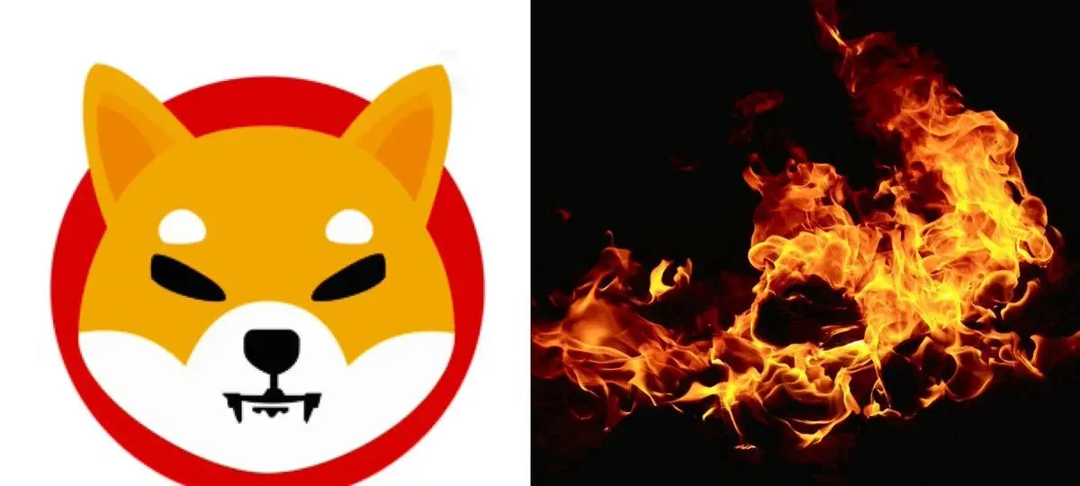 Shiba Inu $SHIB Daily Burn Rate Hits Six-Month High
