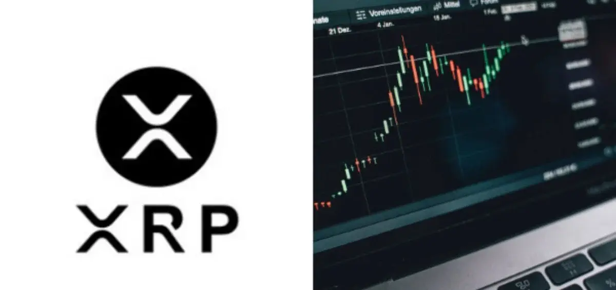 XRP: fewer wallets moving it, more wallets holding it